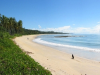 Pernambuco, PE, Recife, Aluguel temporada,  Alugue temporada, apartamentos para alugar, Casa para alugar,  alugar casas,  aluguel de temporada,  aluguel por temporada, alugar apartamento,  alugar casa, casas pra alugar,  casas alugar, casa alugar, casa temporada, aluguel para temporada,