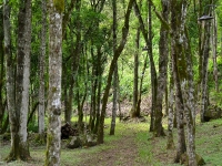 Goias, GO, Goiania, Aluguel temporada,  Alugue temporada, apartamentos para alugar, Casa para alugar,  alugar casas,  aluguel de temporada,  aluguel por temporada, alugar apartamento,  alugar casa, casas pra alugar,  casas alugar, casa alugar, casa temporada, aluguel para temporada,