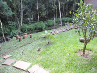 Minas Gerais, MG, Belo Horizonte, Aluguel temporada,  Alugue temporada, apartamentos para alugar, Casa para alugar,  alugar casas,  aluguel de temporada,  aluguel por temporada, alugar apartamento,  alugar casa, casas pra alugar,  casas alugar, casa alugar, casa temporada, aluguel para temporada,