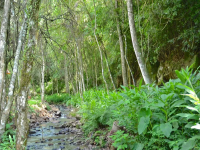 Minas Gerais, MG, Belo Horizonte, Aluguel temporada,  Alugue temporada, apartamentos para alugar, Casa para alugar,  alugar casas,  aluguel de temporada,  aluguel por temporada, alugar apartamento,  alugar casa, casas pra alugar,  casas alugar, casa alugar, casa temporada, aluguel para temporada,