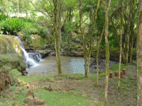 Minas Gerais, MG, Belo Horizonte, Aluguel temporada,  Alugue temporada, apartamentos para alugar, Casa para alugar,  alugar casas,  aluguel de temporada,  aluguel por temporada, alugar apartamento,  alugar casa, casas pra alugar,  casas alugar, casa alugar, casa temporada, aluguel para temporada,