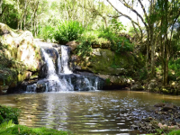 Minas Gerais, MG, Belo Horizonte, Aluguel temporada,  Alugue temporada, apartamentos para alugar, Casa para alugar,  alugar casas,  aluguel de temporada,  aluguel por temporada, alugar apartamento,  alugar casa, casas pra alugar,  casas alugar, casa alugar, casa temporada, aluguel para temporada,