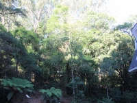 Paraná, PR, Curitiba, Aluguel temporada,  Alugue temporada, apartamentos para alugar, Casa para alugar,  alugar casas,  aluguel de temporada,  aluguel por temporada, alugar apartamento,  alugar casa, casas pra alugar,  casas alugar, casa alugar, casa temporada, aluguel para temporada,