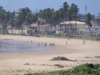 Rio Grande do Norte, RN, Natal, Aluguel temporada,  Alugue temporada, apartamentos para alugar, Casa para alugar,  alugar casas,  aluguel de temporada,  aluguel por temporada, alugar apartamento,  alugar casa, casas pra alugar,  casas alugar, casa alugar, casa temporada, aluguel para temporada,