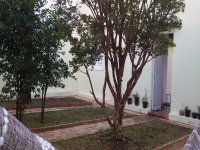 Rio Grande do Sul, RS, Porto Alegre, Aluguel temporada,  Alugue temporada, apartamentos para alugar, Casa para alugar,  alugar casas,  aluguel de temporada,  aluguel por temporada, alugar apartamento,  alugar casa, casas pra alugar,  casas alugar, casa alugar, casa temporada, aluguel para temporada,