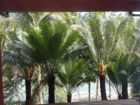 Espirito Santo, ES, Vitória, Aluguel temporada,  Alugue temporada, apartamentos para alugar, Casa para alugar,  alugar casas,  aluguel de temporada,  aluguel por temporada, alugar apartamento,  alugar casa, casas pra alugar,  casas alugar, casa alugar, casa temporada, aluguel para temporada,