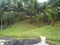 Espirito Santo, ES, Vitória, Aluguel temporada,  Alugue temporada, apartamentos para alugar, Casa para alugar,  alugar casas,  aluguel de temporada,  aluguel por temporada, alugar apartamento,  alugar casa, casas pra alugar,  casas alugar, casa alugar, casa temporada, aluguel para temporada,