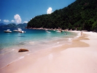 Santa Catarina, SC, Florianopolis, Aluguel temporada,  Alugue temporada, apartamentos para alugar, Casa para alugar,  alugar casas,  aluguel de temporada,  aluguel por temporada, alugar apartamento,  alugar casa, casas pra alugar,  casas alugar, casa alugar, casa temporada, aluguel para temporada,