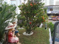 Paraná, PR, Curitiba, Aluguel temporada,  Alugue temporada, apartamentos para alugar, Casa para alugar,  alugar casas,  aluguel de temporada,  aluguel por temporada, alugar apartamento,  alugar casa, casas pra alugar,  casas alugar, casa alugar, casa temporada, aluguel para temporada,