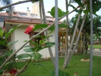 Alagoas, AL, Maceio, Aluguel temporada,  Alugue temporada, apartamentos para alugar, Casa para alugar,  alugar casas,  aluguel de temporada,  aluguel por temporada, alugar apartamento,  alugar casa, casas pra alugar,  casas alugar, casa alugar, casa temporada, aluguel para temporada,