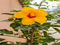 Sergipe, SE, Aracaju, Aluguel temporada,  Alugue temporada, apartamentos para alugar, Casa para alugar,  alugar casas,  aluguel de temporada,  aluguel por temporada, alugar apartamento,  alugar casa, casas pra alugar,  casas alugar, casa alugar, casa temporada, aluguel para temporada,