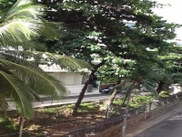 Goias, GO, Goiania, Aluguel temporada,  Alugue temporada, apartamentos para alugar, Casa para alugar,  alugar casas,  aluguel de temporada,  aluguel por temporada, alugar apartamento,  alugar casa, casas pra alugar,  casas alugar, casa alugar, casa temporada, aluguel para temporada,