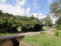 Paraiba, PB, Joao Pessoa, Aluguel temporada,  Alugue temporada, apartamentos para alugar, Casa para alugar,  alugar casas,  aluguel de temporada,  aluguel por temporada, alugar apartamento,  alugar casa, casas pra alugar,  casas alugar, casa alugar, casa temporada, aluguel para temporada,