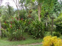 Paraná, PR, Curitiba, Aluguel temporada,  Alugue temporada, apartamentos para alugar, Casa para alugar,  alugar casas,  aluguel de temporada,  aluguel por temporada, alugar apartamento,  alugar casa, casas pra alugar,  casas alugar, casa alugar, casa temporada, aluguel para temporada,