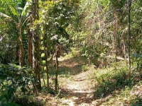 Rio Grande do Sul, RS, Porto Alegre, Aluguel temporada,  Alugue temporada, apartamentos para alugar, Casa para alugar,  alugar casas,  aluguel de temporada,  aluguel por temporada, alugar apartamento,  alugar casa, casas pra alugar,  casas alugar, casa alugar, casa temporada, aluguel para temporada,