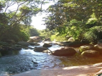 Rio Grande do Sul, RS, Porto Alegre, Aluguel temporada,  Alugue temporada, apartamentos para alugar, Casa para alugar,  alugar casas,  aluguel de temporada,  aluguel por temporada, alugar apartamento,  alugar casa, casas pra alugar,  casas alugar, casa alugar, casa temporada, aluguel para temporada,