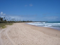 Paraiba, PB, Joao Pessoa, Aluguel temporada,  Alugue temporada, apartamentos para alugar, Casa para alugar,  alugar casas,  aluguel de temporada,  aluguel por temporada, alugar apartamento,  alugar casa, casas pra alugar,  casas alugar, casa alugar, casa temporada, aluguel para temporada,