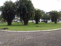 Bahia, BA, Salvador, Aluguel temporada,  Alugue temporada, apartamentos para alugar, Casa para alugar,  alugar casas,  aluguel de temporada,  aluguel por temporada, alugar apartamento,  alugar casa, casas pra alugar,  casas alugar, casa alugar, casa temporada, aluguel para temporada,