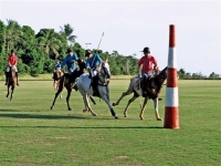 RJ, Aluguel temporada,  Alugue temporada, apartamentos para alugar, Casa para alugar,  alugar casas,  aluguel de temporada,  aluguel por temporada, alugar apartamento,  alugar casa, casas pra alugar,  casas alugar, casa alugar, casa temporada, aluguel para temporada,