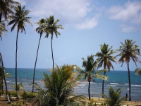 Pernambuco, PE, Recife, Aluguel temporada,  Alugue temporada, apartamentos para alugar, Casa para alugar,  alugar casas,  aluguel de temporada,  aluguel por temporada, alugar apartamento,  alugar casa, casas pra alugar,  casas alugar, casa alugar, casa temporada, aluguel para temporada,