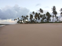 Pernambuco, PE, Recife, Aluguel temporada,  Alugue temporada, apartamentos para alugar, Casa para alugar,  alugar casas,  aluguel de temporada,  aluguel por temporada, alugar apartamento,  alugar casa, casas pra alugar,  casas alugar, casa alugar, casa temporada, aluguel para temporada,