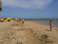 Tocantins, TO, Palmas, Aluguel temporada,  Alugue temporada, apartamentos para alugar, Casa para alugar,  alugar casas,  aluguel de temporada,  aluguel por temporada, alugar apartamento,  alugar casa, casas pra alugar,  casas alugar, casa alugar, casa temporada, aluguel para temporada,
