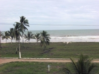 Amapa, AP, Macapa, Aluguel temporada,  Alugue temporada, apartamentos para alugar, Casa para alugar,  alugar casas,  aluguel de temporada,  aluguel por temporada, alugar apartamento,  alugar casa, casas pra alugar,  casas alugar, casa alugar, casa temporada, aluguel para temporada,