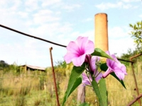 Alagoas, AL, Maceio, Aluguel temporada,  Alugue temporada, apartamentos para alugar, Casa para alugar,  alugar casas,  aluguel de temporada,  aluguel por temporada, alugar apartamento,  alugar casa, casas pra alugar,  casas alugar, casa alugar, casa temporada, aluguel para temporada,