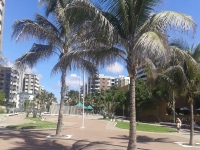 Alagoas, AL, Maceio, Aluguel temporada,  Alugue temporada, apartamentos para alugar, Casa para alugar,  alugar casas,  aluguel de temporada,  aluguel por temporada, alugar apartamento,  alugar casa, casas pra alugar,  casas alugar, casa alugar, casa temporada, aluguel para temporada,