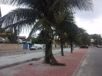 Tocantins, TO, Palmas, Aluguel temporada,  Alugue temporada, apartamentos para alugar, Casa para alugar,  alugar casas,  aluguel de temporada,  aluguel por temporada, alugar apartamento,  alugar casa, casas pra alugar,  casas alugar, casa alugar, casa temporada, aluguel para temporada,