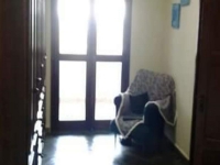 Mato Grosso, MT, Cuiaba, Aluguel temporada,  Alugue temporada, apartamentos para alugar, Casa para alugar,  alugar casas,  aluguel de temporada,  aluguel por temporada, alugar apartamento,  alugar casa, casas pra alugar,  casas alugar, casa alugar, casa temporada, aluguel para temporada,