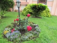 Espirito Santo, ES, Vitória, Aluguel temporada,  Alugue temporada, apartamentos para alugar, Casa para alugar,  alugar casas,  aluguel de temporada,  aluguel por temporada, alugar apartamento,  alugar casa, casas pra alugar,  casas alugar, casa alugar, casa temporada, aluguel para temporada,