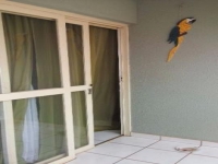Espirito Santo, ES, Vitória, Aluguel temporada,  Alugue temporada, apartamentos para alugar, Casa para alugar,  alugar casas,  aluguel de temporada,  aluguel por temporada, alugar apartamento,  alugar casa, casas pra alugar,  casas alugar, casa alugar, casa temporada, aluguel para temporada,