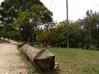 Sergipe, SE, Aracaju, Aluguel temporada,  Alugue temporada, apartamentos para alugar, Casa para alugar,  alugar casas,  aluguel de temporada,  aluguel por temporada, alugar apartamento,  alugar casa, casas pra alugar,  casas alugar, casa alugar, casa temporada, aluguel para temporada,
