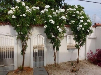 Santa Catarina, SC, Florianopolis, Aluguel temporada,  Alugue temporada, apartamentos para alugar, Casa para alugar,  alugar casas,  aluguel de temporada,  aluguel por temporada, alugar apartamento,  alugar casa, casas pra alugar,  casas alugar, casa alugar, casa temporada, aluguel para temporada,