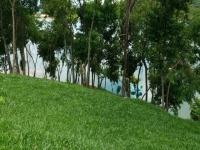 Goias, GO, Goiania, Aluguel temporada,  Alugue temporada, apartamentos para alugar, Casa para alugar,  alugar casas,  aluguel de temporada,  aluguel por temporada, alugar apartamento,  alugar casa, casas pra alugar,  casas alugar, casa alugar, casa temporada, aluguel para temporada,