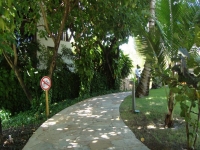 Espirito Santo, ES, Vitória, Aluguel temporada,  Alugue temporada, apartamentos para alugar, Casa para alugar,  alugar casas,  aluguel de temporada,  aluguel por temporada, alugar apartamento,  alugar casa, casas pra alugar,  casas alugar, casa alugar, casa temporada, aluguel para temporada,
