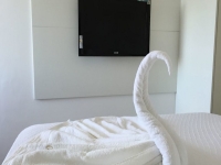 Espirito Santo, ES, Vitória, Aluguel temporada,  Alugue temporada, apartamentos para alugar, Casa para alugar,  alugar casas,  aluguel de temporada,  aluguel por temporada, alugar apartamento,  alugar casa, casas pra alugar,  casas alugar, casa alugar, casa temporada, aluguel para temporada,