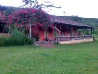 Tocantins, TO, Palmas, Aluguel temporada,  Alugue temporada, apartamentos para alugar, Casa para alugar,  alugar casas,  aluguel de temporada,  aluguel por temporada, alugar apartamento,  alugar casa, casas pra alugar,  casas alugar, casa alugar, casa temporada, aluguel para temporada,