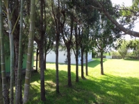 Paraná, PR, Curitiba, Aluguel temporada,  Alugue temporada, apartamentos para alugar, Casa para alugar,  alugar casas,  aluguel de temporada,  aluguel por temporada, alugar apartamento,  alugar casa, casas pra alugar,  casas alugar, casa alugar, casa temporada, aluguel para temporada,