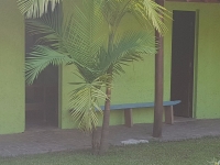 Tocantins, TO, Palmas, Aluguel temporada,  Alugue temporada, apartamentos para alugar, Casa para alugar,  alugar casas,  aluguel de temporada,  aluguel por temporada, alugar apartamento,  alugar casa, casas pra alugar,  casas alugar, casa alugar, casa temporada, aluguel para temporada,