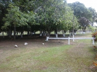 Goias, GO, Goiania, Aluguel temporada,  Alugue temporada, apartamentos para alugar, Casa para alugar,  alugar casas,  aluguel de temporada,  aluguel por temporada, alugar apartamento,  alugar casa, casas pra alugar,  casas alugar, casa alugar, casa temporada, aluguel para temporada,