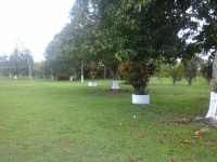 Goias, GO, Goiania, Aluguel temporada,  Alugue temporada, apartamentos para alugar, Casa para alugar,  alugar casas,  aluguel de temporada,  aluguel por temporada, alugar apartamento,  alugar casa, casas pra alugar,  casas alugar, casa alugar, casa temporada, aluguel para temporada,