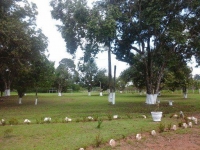 Goias, GO, Goiania, Aluguel temporada,  Alugue temporada, apartamentos para alugar, Casa para alugar,  alugar casas,  aluguel de temporada,  aluguel por temporada, alugar apartamento,  alugar casa, casas pra alugar,  casas alugar, casa alugar, casa temporada, aluguel para temporada,