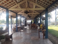 Paraná, PR, Curitiba, Aluguel temporada,  Alugue temporada, apartamentos para alugar, Casa para alugar,  alugar casas,  aluguel de temporada,  aluguel por temporada, alugar apartamento,  alugar casa, casas pra alugar,  casas alugar, casa alugar, casa temporada, aluguel para temporada,