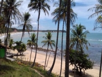 Amazonas, AM, Manaus, Aluguel temporada,  Alugue temporada, apartamentos para alugar, Casa para alugar,  alugar casas,  aluguel de temporada,  aluguel por temporada, alugar apartamento,  alugar casa, casas pra alugar,  casas alugar, casa alugar, casa temporada, aluguel para temporada,