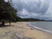 Amazonas, AM, Manaus, Aluguel temporada,  Alugue temporada, apartamentos para alugar, Casa para alugar,  alugar casas,  aluguel de temporada,  aluguel por temporada, alugar apartamento,  alugar casa, casas pra alugar,  casas alugar, casa alugar, casa temporada, aluguel para temporada,