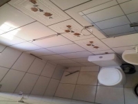 Paraná, PR, Curitiba, Aluguel temporada,  Alugue temporada, apartamentos para alugar, Casa para alugar,  alugar casas,  aluguel de temporada,  aluguel por temporada, alugar apartamento,  alugar casa, casas pra alugar,  casas alugar, casa alugar, casa temporada, aluguel para temporada,