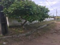 Minas Gerais, MG, Belo Horizonte, Aluguel temporada,  Alugue temporada, apartamentos para alugar, Casa para alugar,  alugar casas,  aluguel de temporada,  aluguel por temporada, alugar apartamento,  alugar casa, casas pra alugar,  casas alugar, casa alugar, casa temporada, aluguel para temporada,