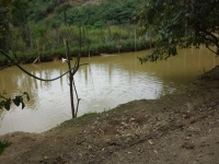 Mato Grosso, MT, Cuiaba, Aluguel temporada,  Alugue temporada, apartamentos para alugar, Casa para alugar,  alugar casas,  aluguel de temporada,  aluguel por temporada, alugar apartamento,  alugar casa, casas pra alugar,  casas alugar, casa alugar, casa temporada, aluguel para temporada,